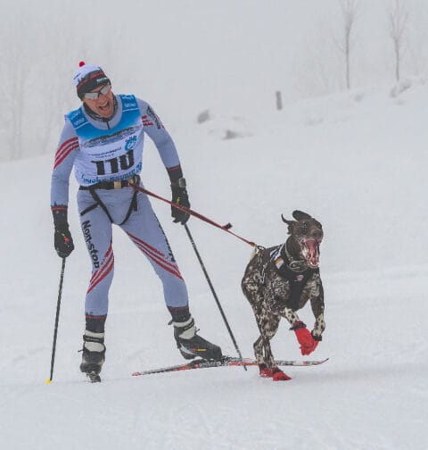 Skijoring