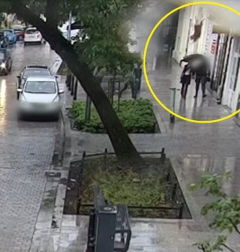 Pies wyskoczył z 2. piętra i spadł na 21-latkę