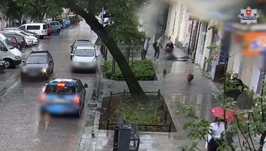 pies-wyskoczyl-z-drugiego-pietra-na-przechodnia