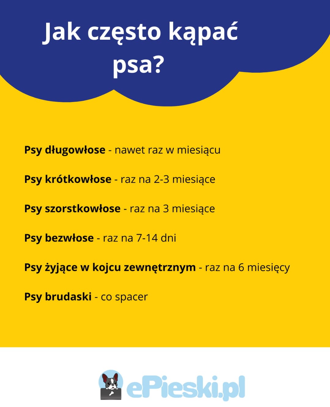 Infografika - jak często kąpać psa