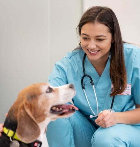 Jak często odrobaczać psa