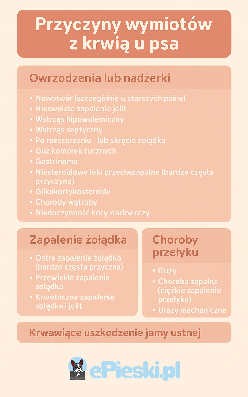 Wymioty z krwią u psa infografika