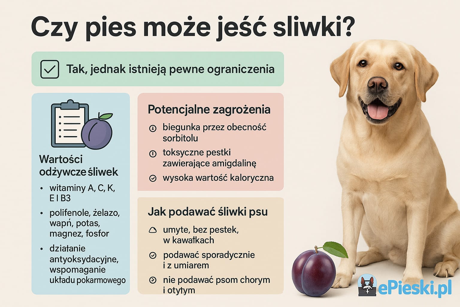 Czy pies może jeść śliwki infografika
