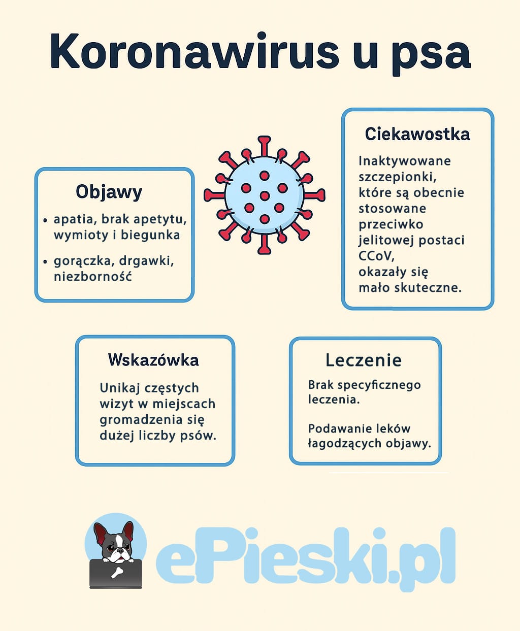 Koronawirus u psa infografika