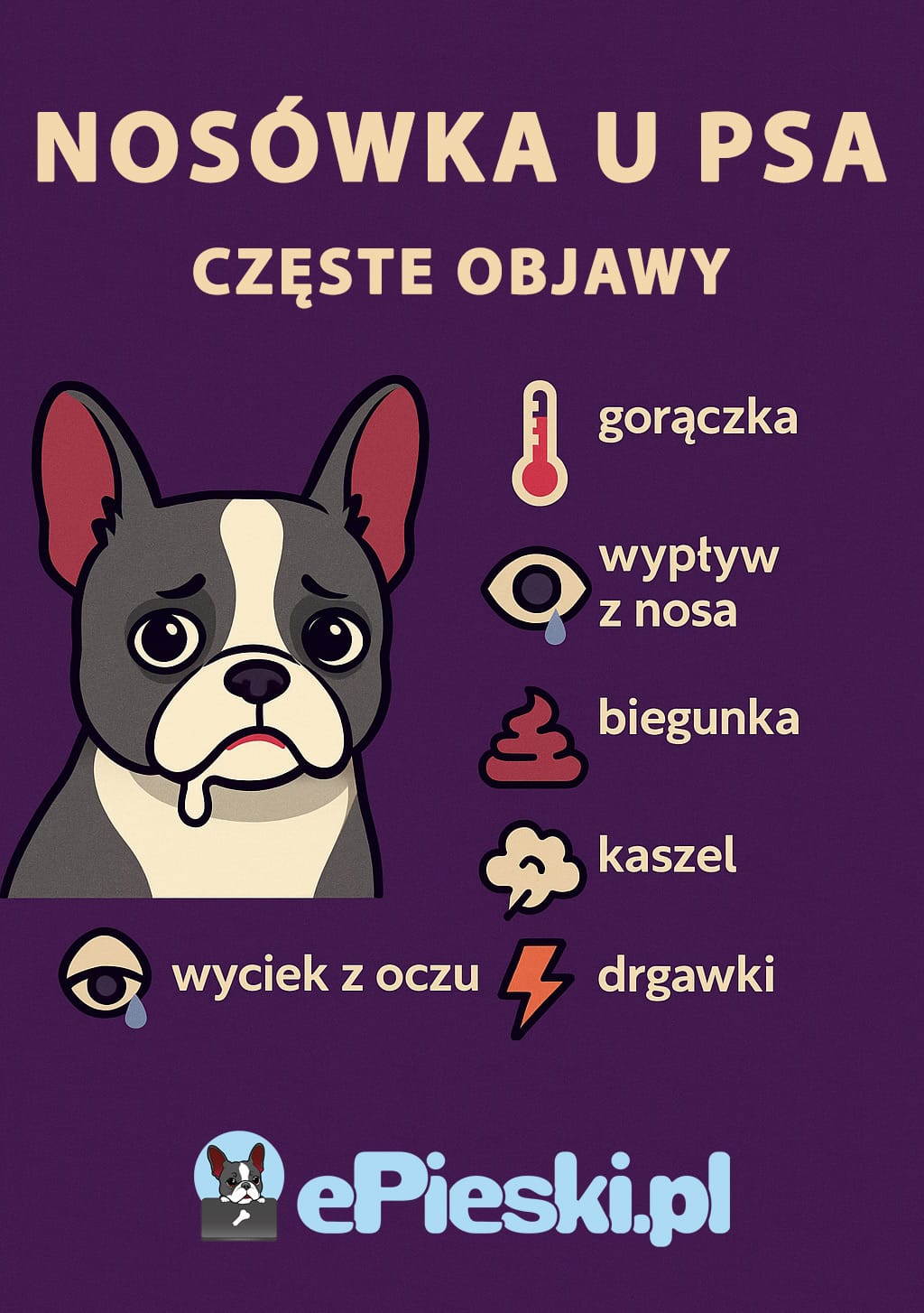 Nosówka u psa infografika