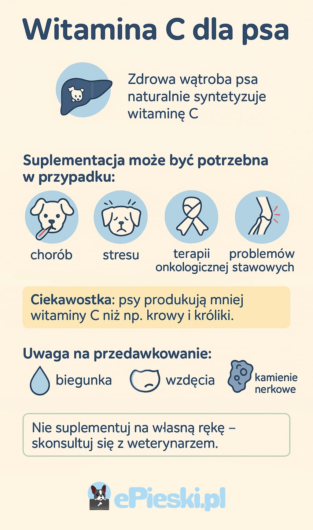 Witamina C dla psa infografika