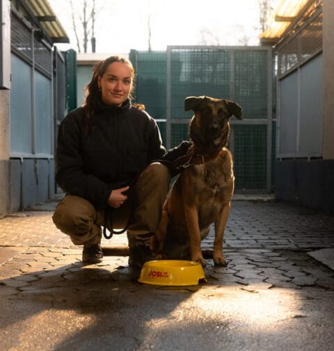 JOSI napełnia każdą miskę