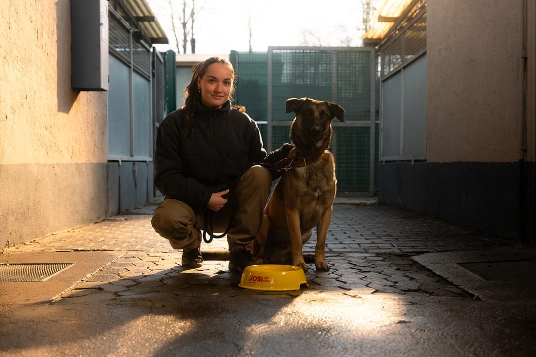 JOSI napełnia każdą miskę