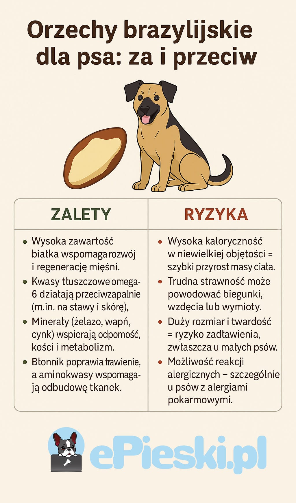 Orzechy brazylijskie dla psa infografika