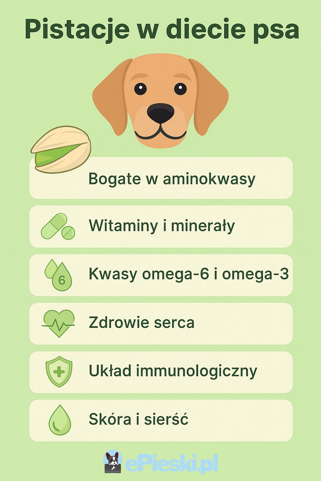 Pistacje w diecie psa infografika