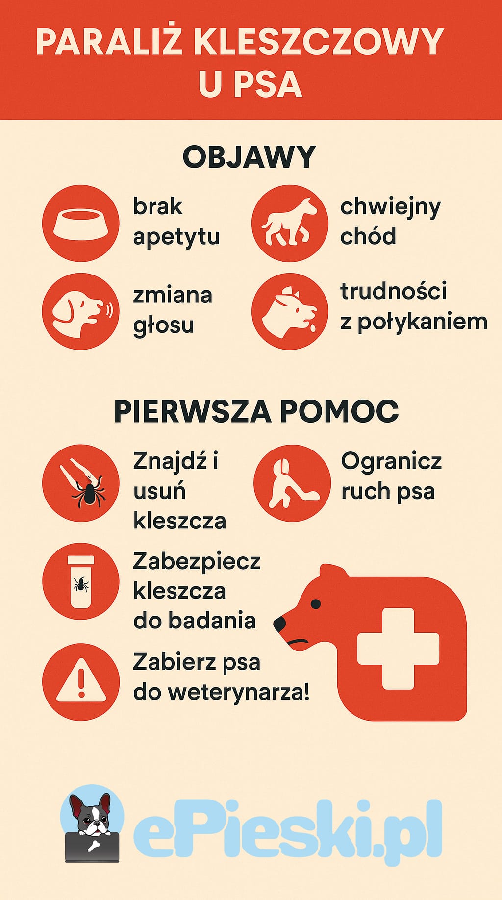 Paraliż kleszczowy u psa infografika