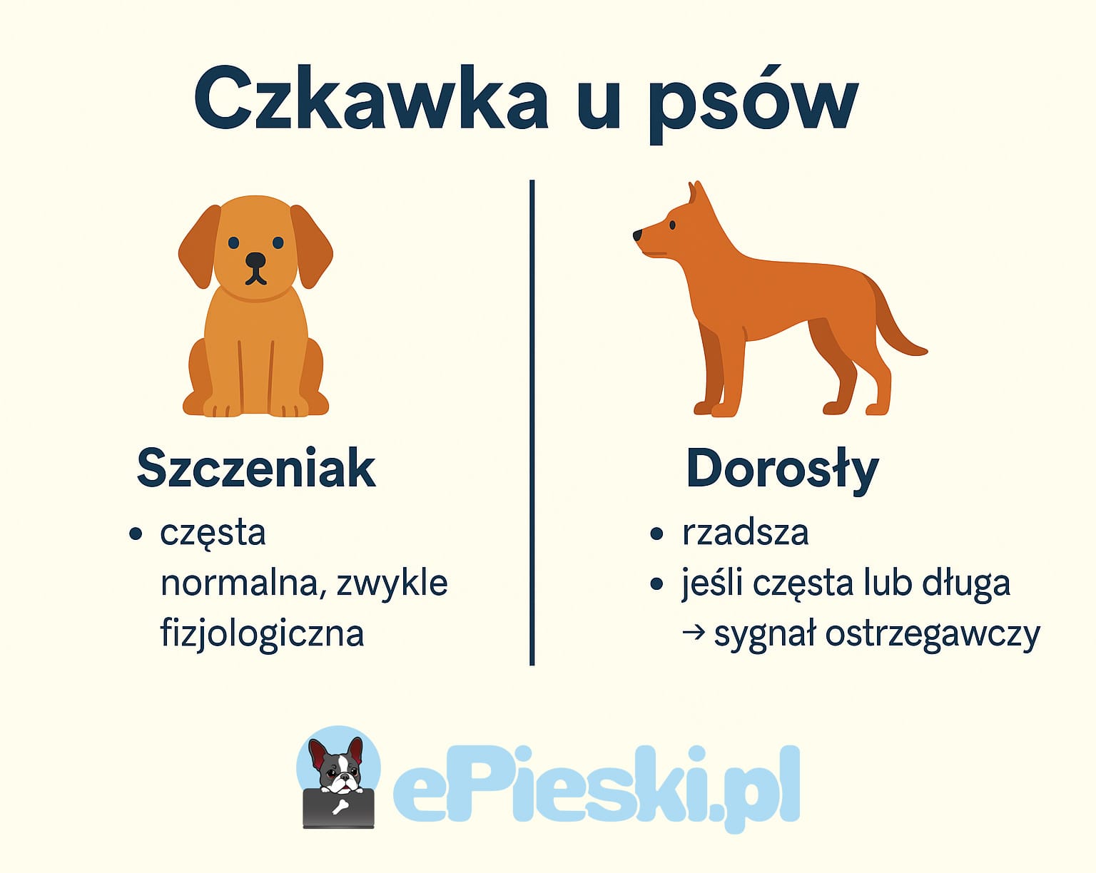 Czkawka u psa infografika
