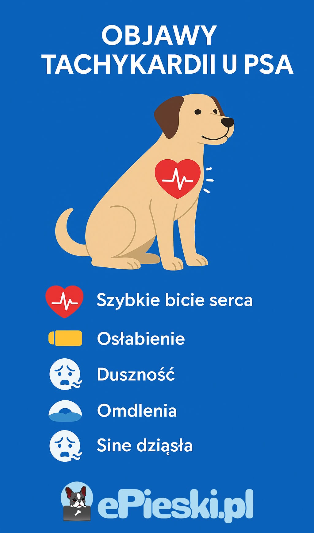 Tachykardia u psa infografika